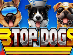 3 Top Dogs thumbnail