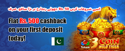 دوست کو لائیں بونس 🤝 promotion